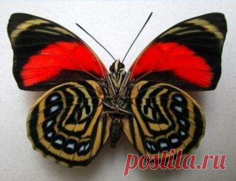 Fantástico Natureza,linda!!!