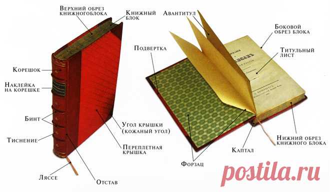 Как склеить порванную книгу: лайфхаки для родителей