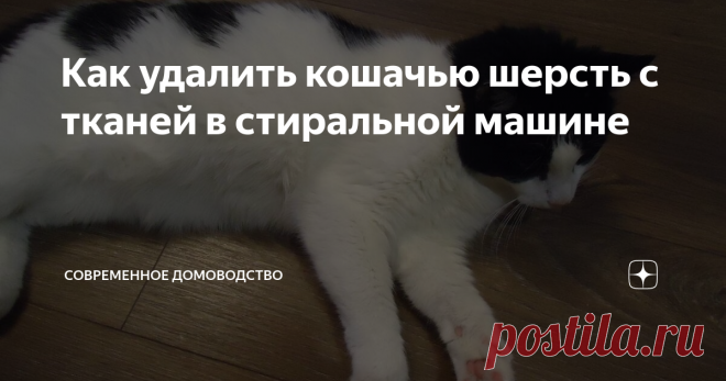 Как удалить кошачью шерсть с тканей в стиральной машине Вот уже почти 20 лет живет у меня кот. Он не очень пушистый, средней лохматости. Но видимо в силу солидности возраста шерсть его стала склонна к выпадению. И мне пришлось озадачиться вопросом: как эту шерсть убрать с ткани?
Опытные люди советуют постирать вещи в стиральной машине с парой-тройкой влажных салфеток. Якобы волосы налипнут на салфетку, а ткань будет чистой и ароматной, если салфетки