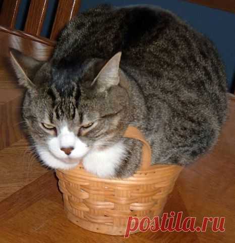 ВЛЕЗЛА