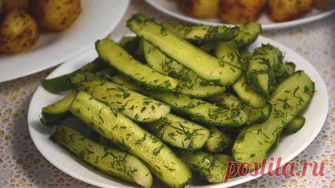 Быстрые малосольные огурцы с чесноком и укропом, без уксуса.