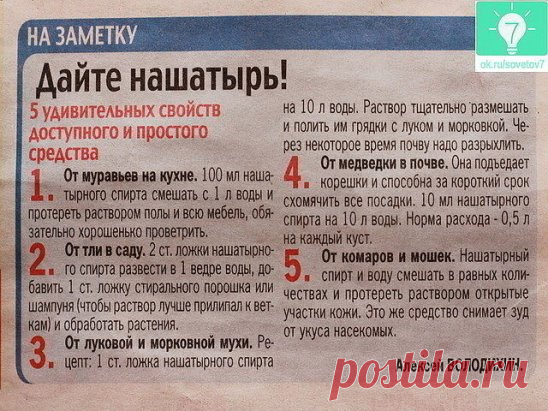 В копилку огородника! Полезные советы ниже  ↓↓↓
