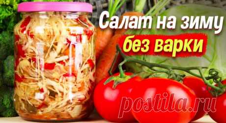 Капустный салат на зиму без варки &amp;raquo; Женский Мир