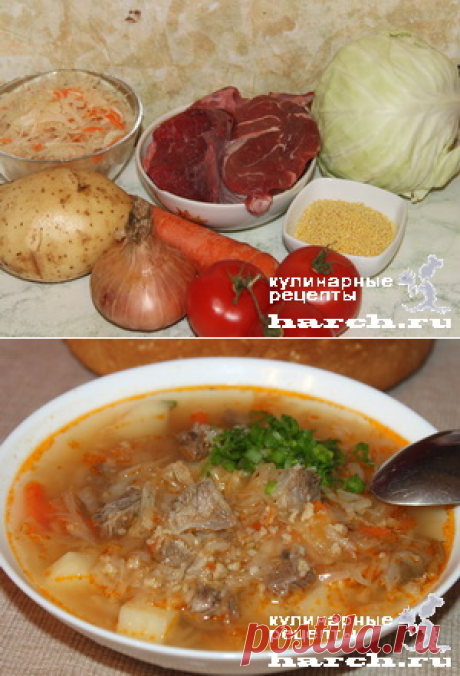 Капустняк днепровский(говядина)