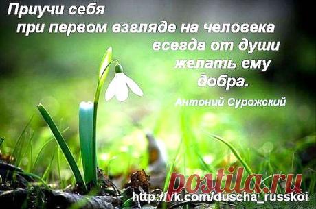 (23) Одноклассники