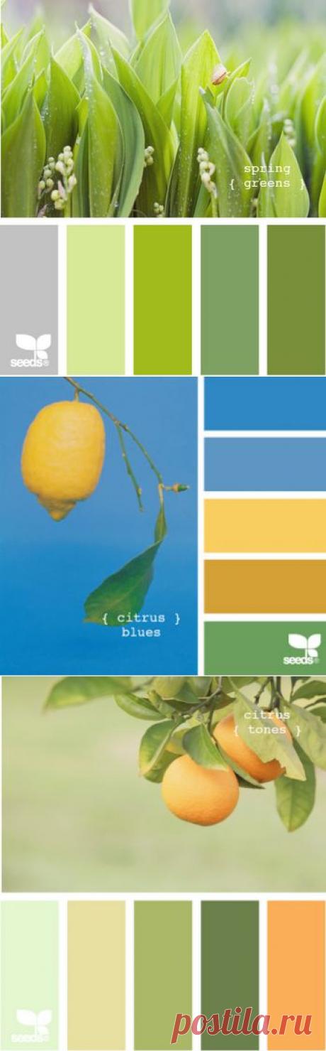 Anasteisha: Самые лучшие сочетания цветов уже придуманы природой.