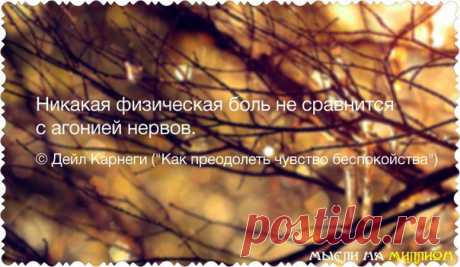 МЫСЛИ НА МИЛЛИОН