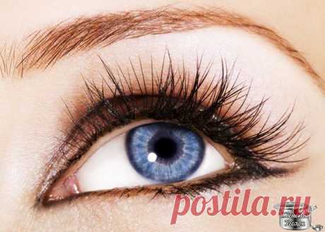 Женский Уголок ✔ Советы хозяйкам    Три самых действенных рецепта для густых ресниц