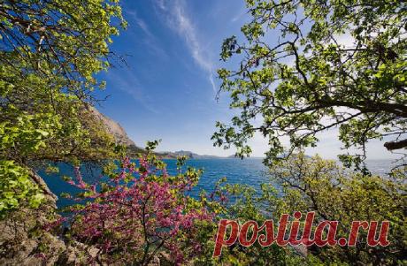 Весенний Крым