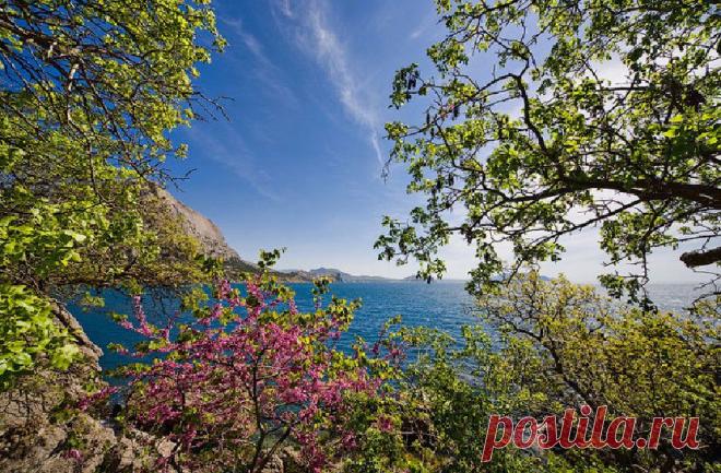 Весенний Крым