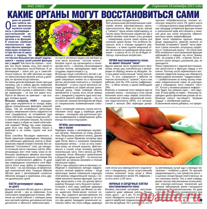 Какие органы могут восстанавливаться сами