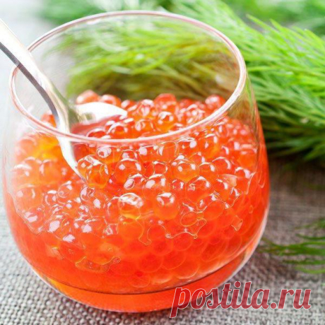 Как хранить красную икру в домашних условиях? Можно ли замораживать красную икру :: SYL.ru