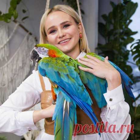 Ошибка в отношениях, которая много лет мешает стать счастливым человеком
Приветствую, дорогие читатели! С Вами Татьяна Джумма — тренер по эффективным коммуникациям, психолог и НЛП-практик. Раньше, когда я не разбиралась в отношениях и психологии поведения, я постоянно совершала одну и ту же грубую ошибку в отношениях. Конечно, стыдно за такое поведение, но это все опыт. В юные годы я сильно переживала, если не получала взаимности […]
Читай пост далее на сайте. Жми ⏫ссылку выше