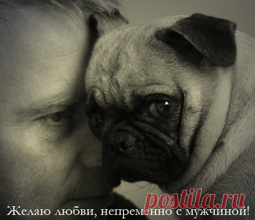 Мысли в слух