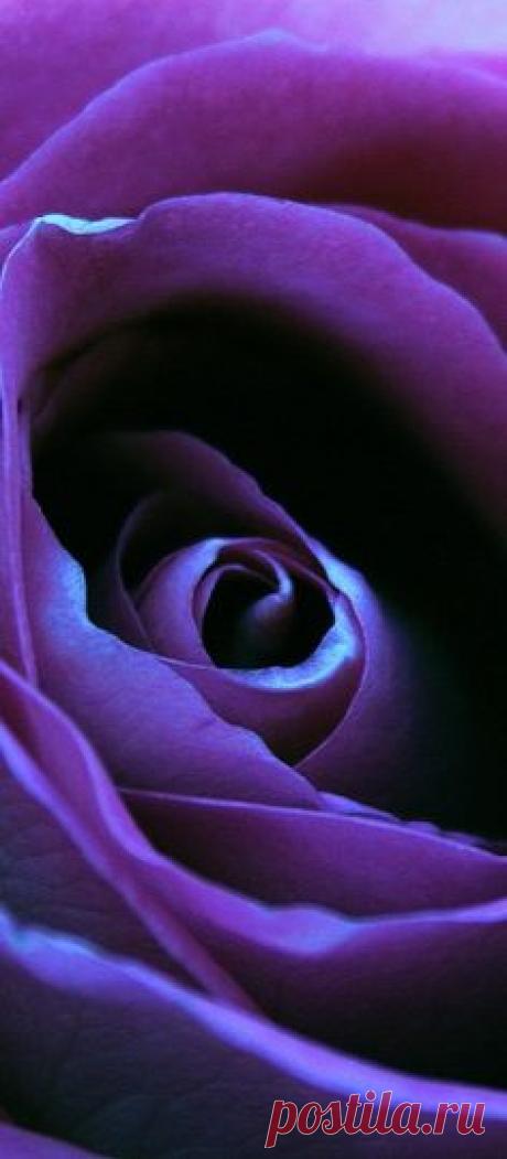 (3) Pinterest: инструмент для поиска и хранения интересных идей