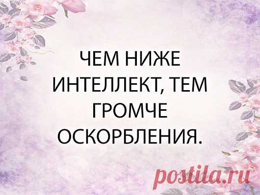 Солнечный круг – Google+