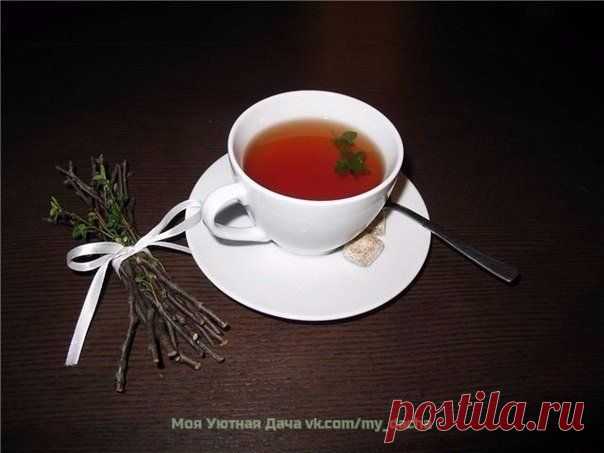 ➡ Моя Уютная Дача, сад и огород ✔ Подпишись