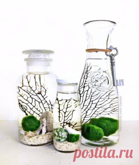 Миниатюрный аквариум как элемент декора ~ Planetalsad