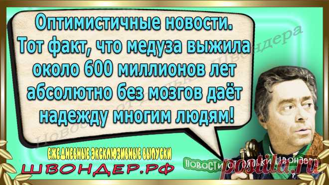 Новости от дядьки Швондера, классный анекдот, смешная фраза, смешной каламбур, известные афоризмы, смех да и только, забавные картинки, сложный юмор, непонятные анекдоты, цитаты из интернета, необычное развлечение, Швондер говорит, Шариков, Собачье сердце, улыбка до ушей, эксклюзивный выпуск новостей, ржака, потеха, фарс, наколка, проделка, шутка, юмор, анекдоты в картинках, юмор в картинках, свежие приколы, фенечка, смешная фишка, улыбка, ржачка, интересное в сети, смешок, смех, швондер.рф