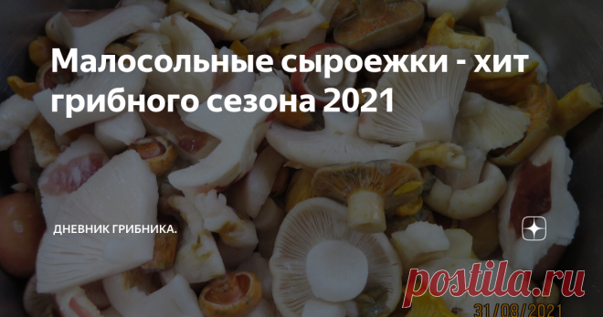 Малосольные сыроежки - хит грибного сезона 2021 Скудный на грибы сезон 2021 на самом пике. 