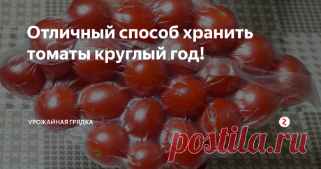 Отличный способ хранить томаты круглый год! | Урожайная грядка | Яндекс Дзен