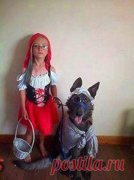 особенно мне понравился Волк )))))