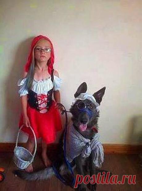 особенно мне понравился Волк )))))