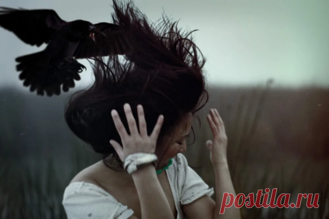 Знаки Вселенной, предупреждающие о бедах | Vdoh. No. Venie Чердачника | Дзен