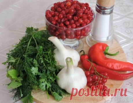 Соус из красной смородины к мясу: как сделать, рецепты острой приправы с чесноком