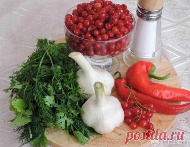 Соус из красной смородины к мясу: как сделать, рецепты острой приправы с чесноком