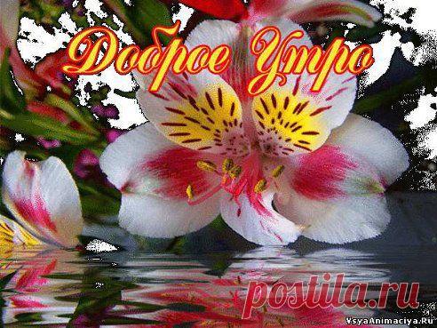 ДОБРОГО ВСЕМ УТРА.