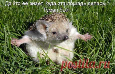 Интересные новости