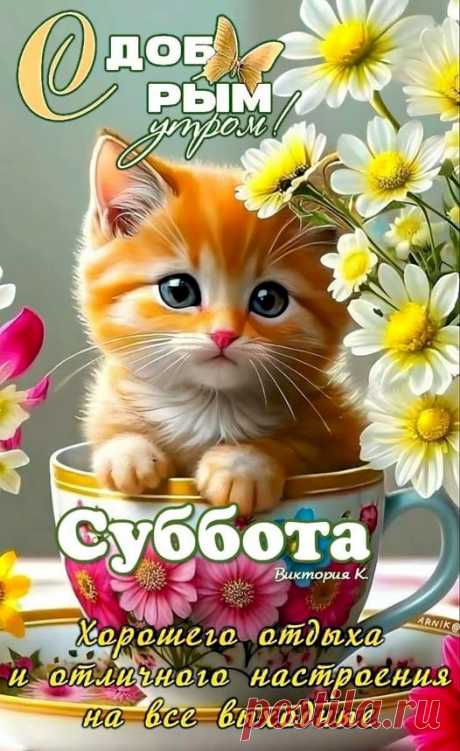 bc54a3c3.jpg (526×859)