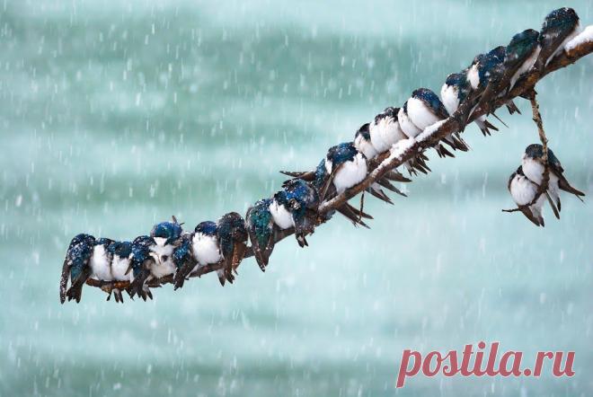 National Geographic Russia – Google+