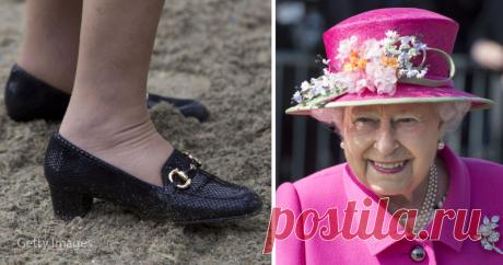 От смотрителя лебедей до разносчика обуви: 8 самых необычных должностей при королевском дворе Великобритании . Милая Я