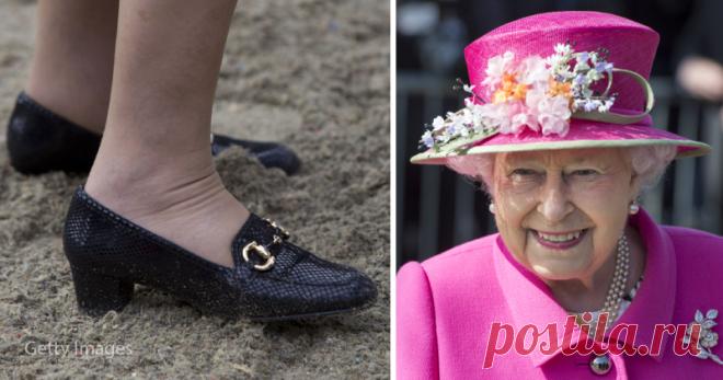 От смотрителя лебедей до разносчика обуви: 8 самых необычных должностей при королевском дворе Великобритании . Милая Я