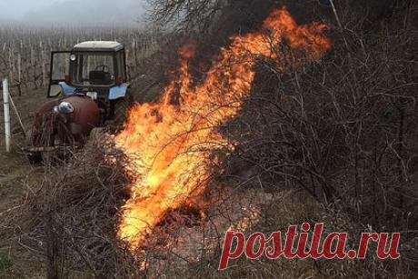Дачников предупредили о многотысячных штрафах за неправильную уборку травы. За сжигание сухой травы на земельном участке россиян могут оштрафовать на сотни тысяч рублей. О возможном наказании за неправильную уборку территорий предупредил эколог, руководитель московской группы общественного мониторинга по вопросам экологии и защиты леса ОНФ Антон Хлынов.