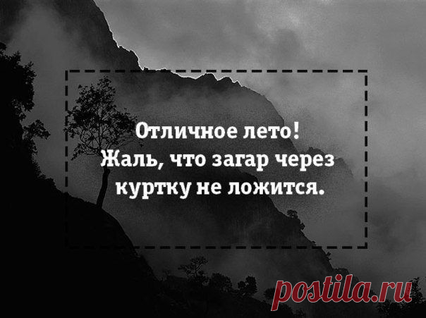 Шикарные цитаты / Писец - приколы интернета