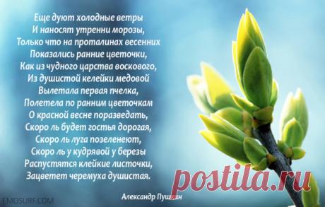 Красивые стихи о весне