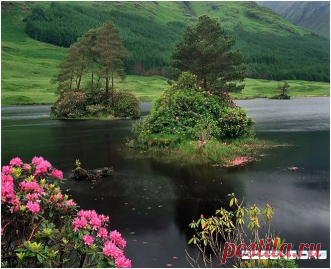 Шотландия - Google+