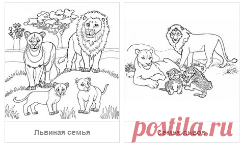 Раскраски Дикие животные - скачать или распечатать