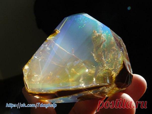 Камни-талисманы
Очень часто люди используют определенные камни в качестве талисманов и оберегов. Однако и здесь есть свои правила, несоблюдение которых может привести к печальным последствиям.

Дорогие камни – не лучший выбор для амулета. Они суровы, имеют тяжелую энергетику. Лучшие обереги – это топаз, оникс, обсидиан, тигровый и кошачий глаз.
Показать полностью…