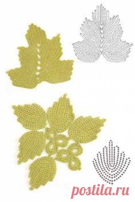 foglie
