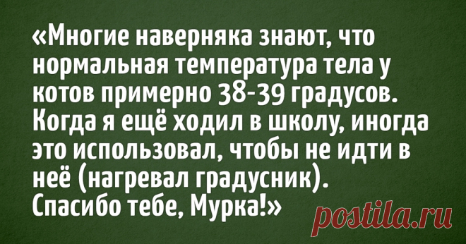 Пользователи интернета поделились забавными и немного безумными лайфхаками, которые когда-то помогали им в жизни. И ведь они реально работают!  