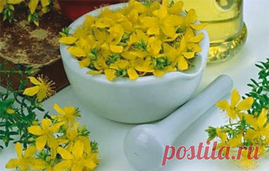 Чистка на соль и зверобой
Для обряда потребуются: соль, сушенный зверобой и душ))) 
Соль и зверобой заговариваем заранее перед началом обряда. 
Соль заговариваем три раза: Соль священная, соль освященная, возьми все гадость с раба божиего (имя) (если Вы не православной веры, то читайте 