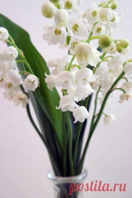 (1) Мой Мир@Mail.Ru