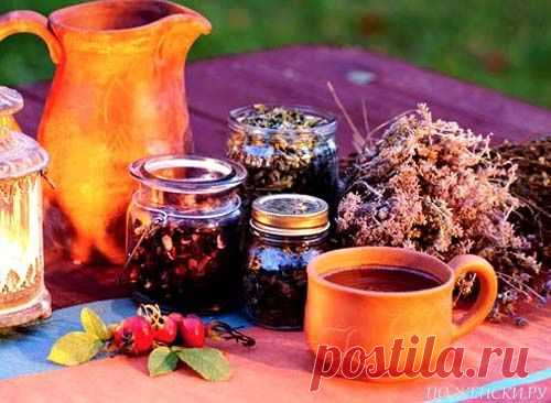 Лечение полипов народными методами