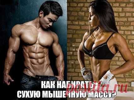 Спортивное питание... Индивидуальное составление программы