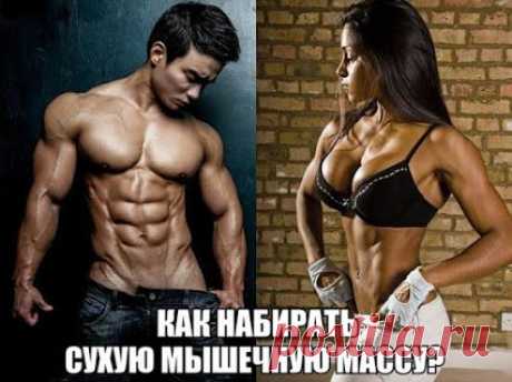 Спортивное питание... Индивидуальное составление программы