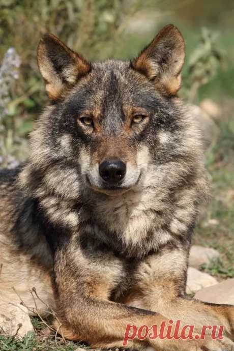 Таня Лукашева - Google+